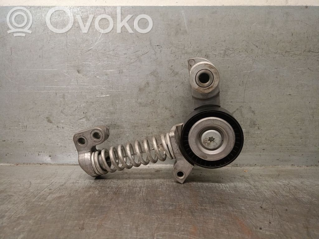 Volvo V40 Tendicinghia generatore/alternatore