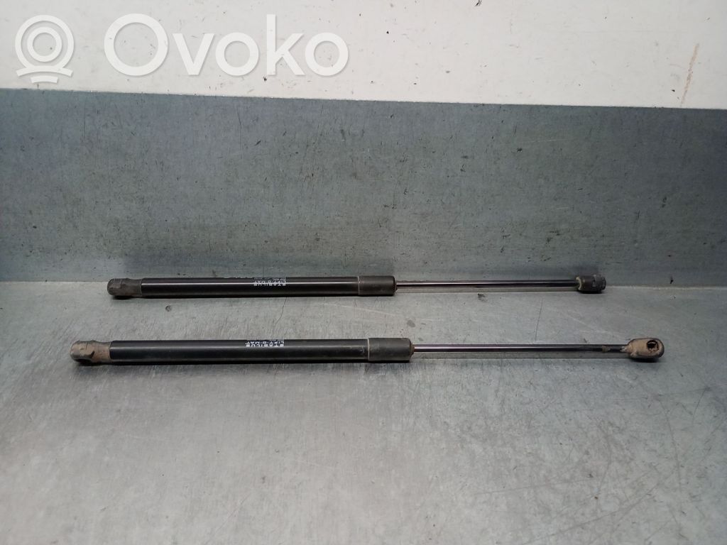 Citroen C4 Aircross Amortiguador/puntal del maletero/compartimento de carga 