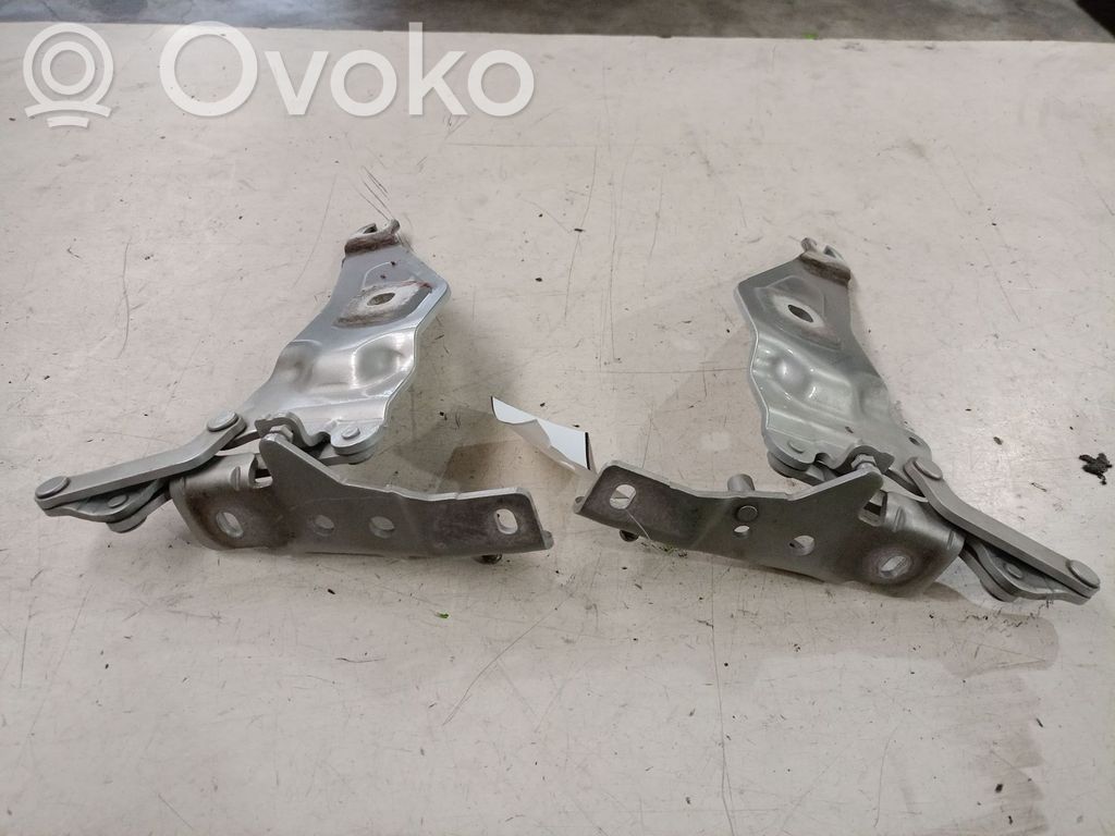 BMW X6 M Cerniere del vano motore/cofano