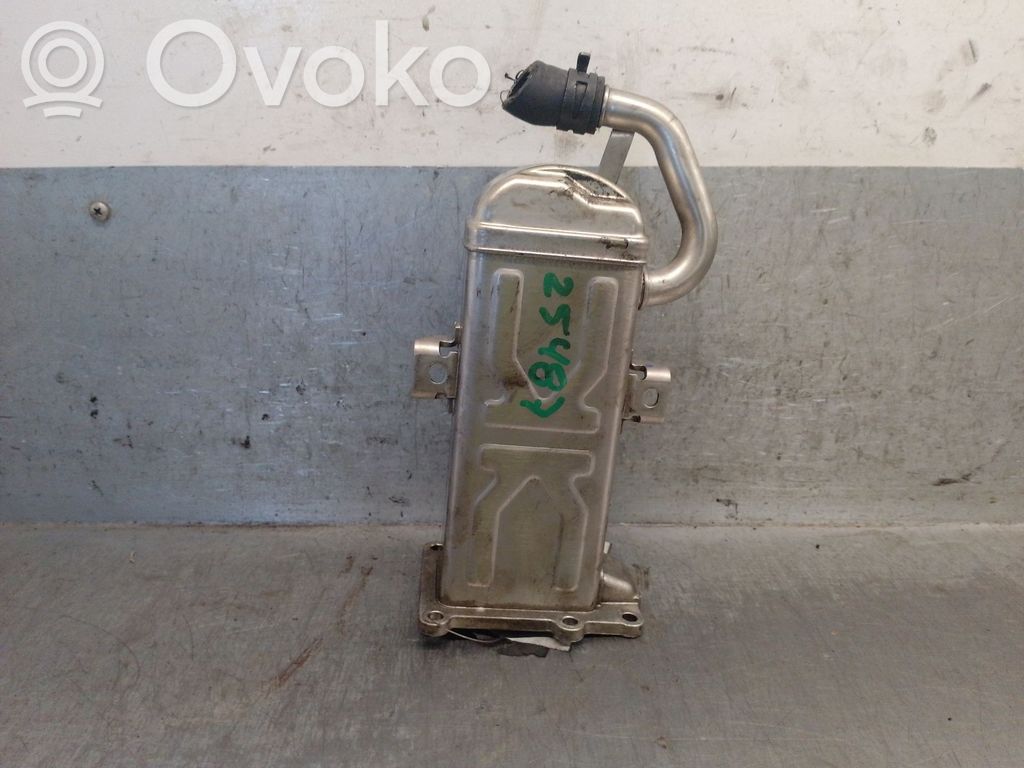 Seat Altea EGR aušintuvas