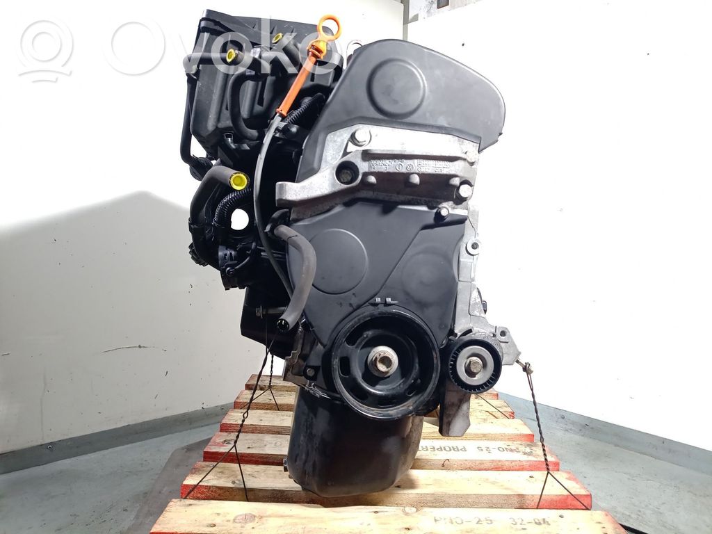 Seat Ibiza III (6L) Motor 