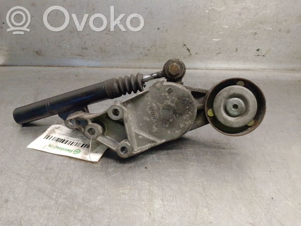 Seat Leon (1M) Napinacz paska alternatora 