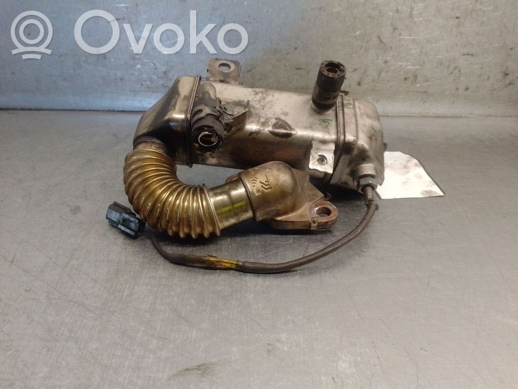 Nissan Qashqai EGR-venttiili/lauhdutin