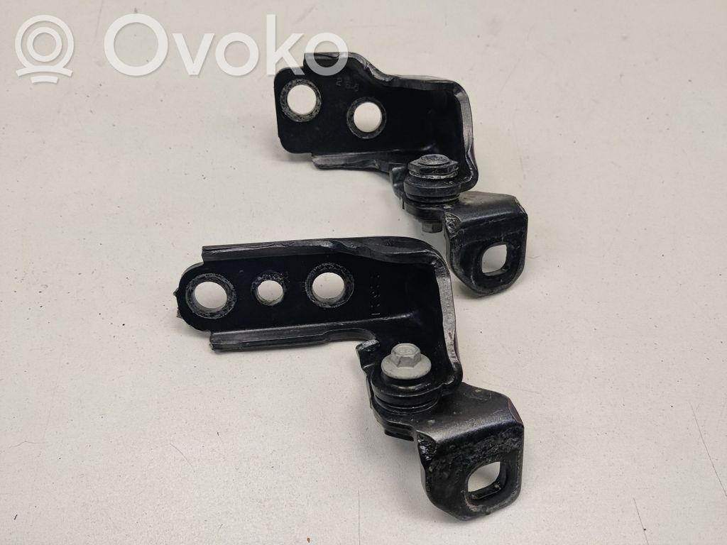 Ford F150 Front door hinge set 