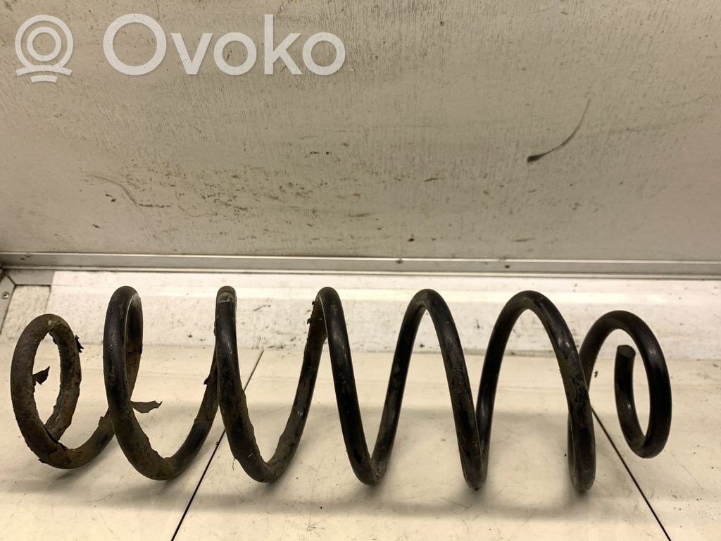 Rear coil spring