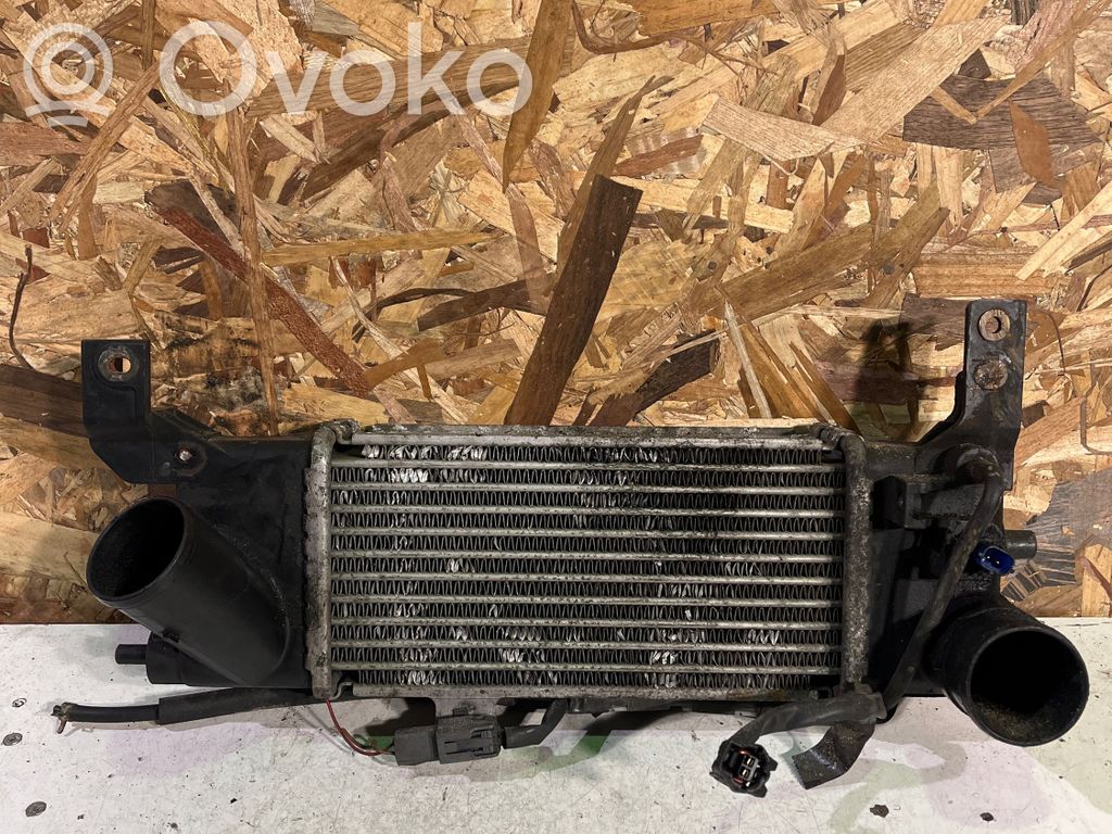 Interkūlera radiators