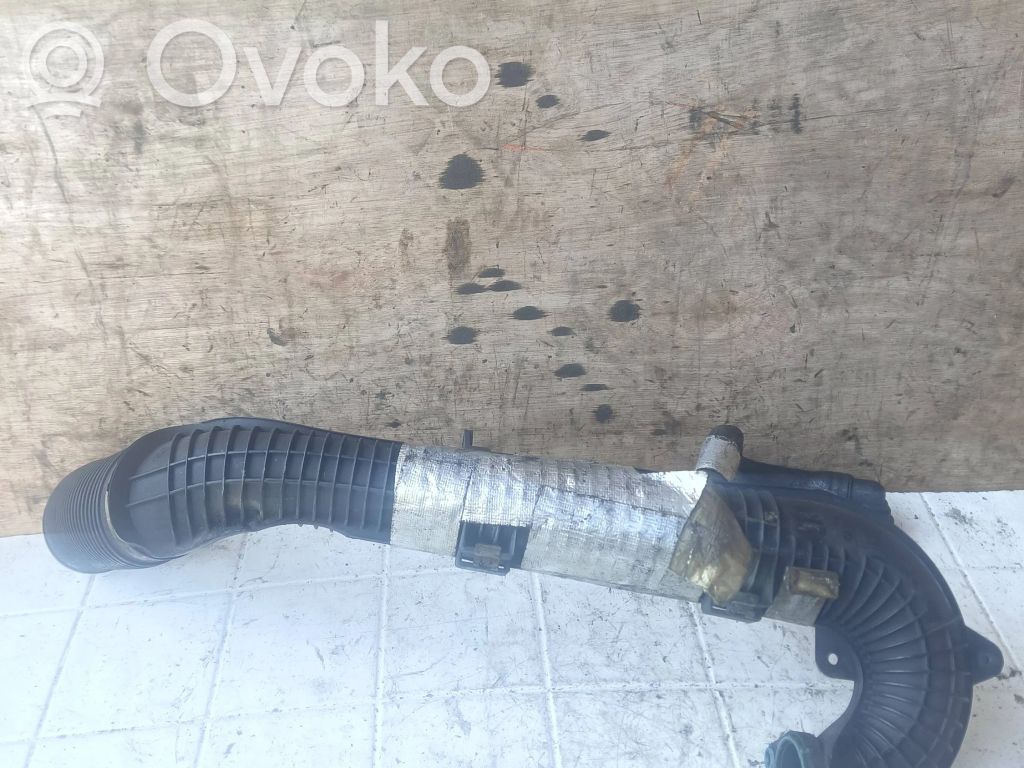 Ford Focus Interkūlera šļūtene (-es) / caurule (-es) 