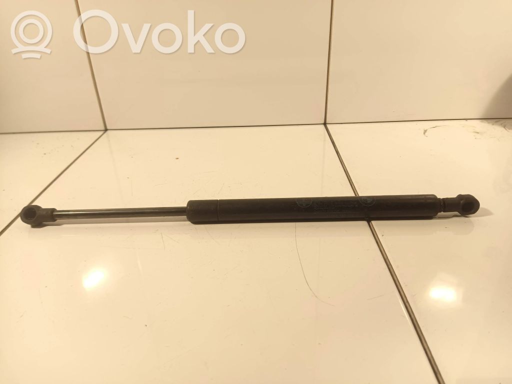 Tailgate/trunk strut/damper   51248254281