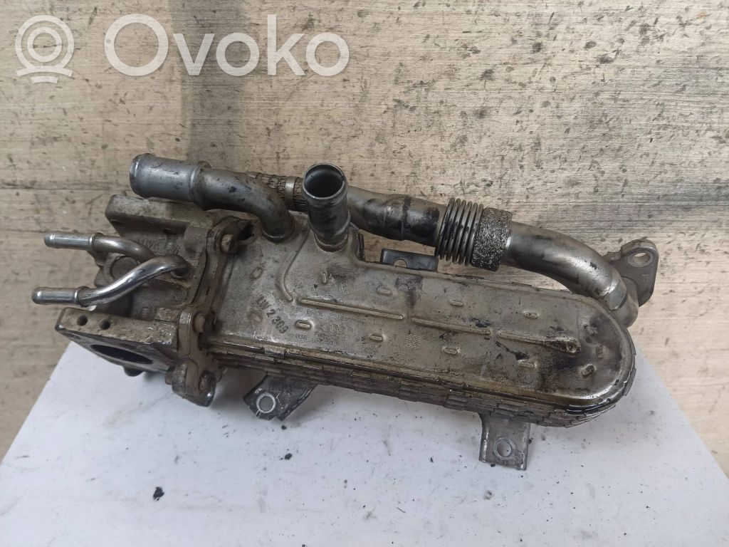 Volkswagen PASSAT B6 Chłodnica spalin EGR 