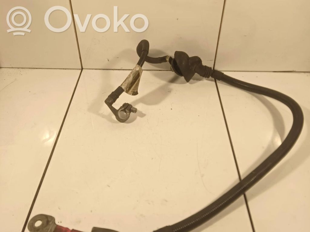 Plusa vads (akumulatora)   143955903