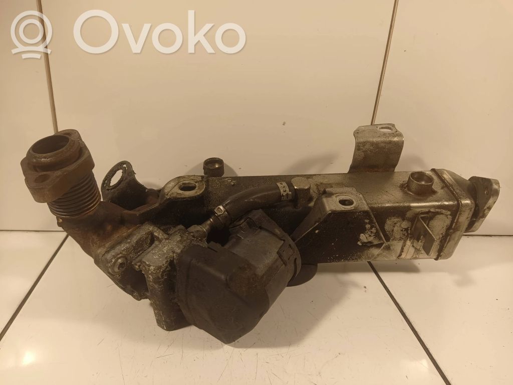 EGR dzesētājs   7810751,877012