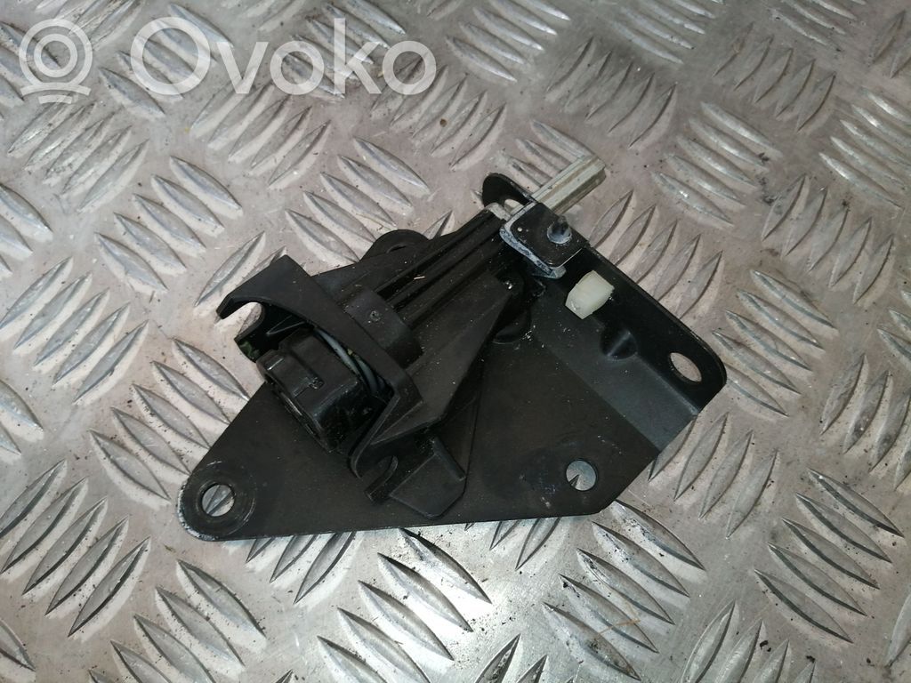 Tailgate release/open handle   7162149,51247162149