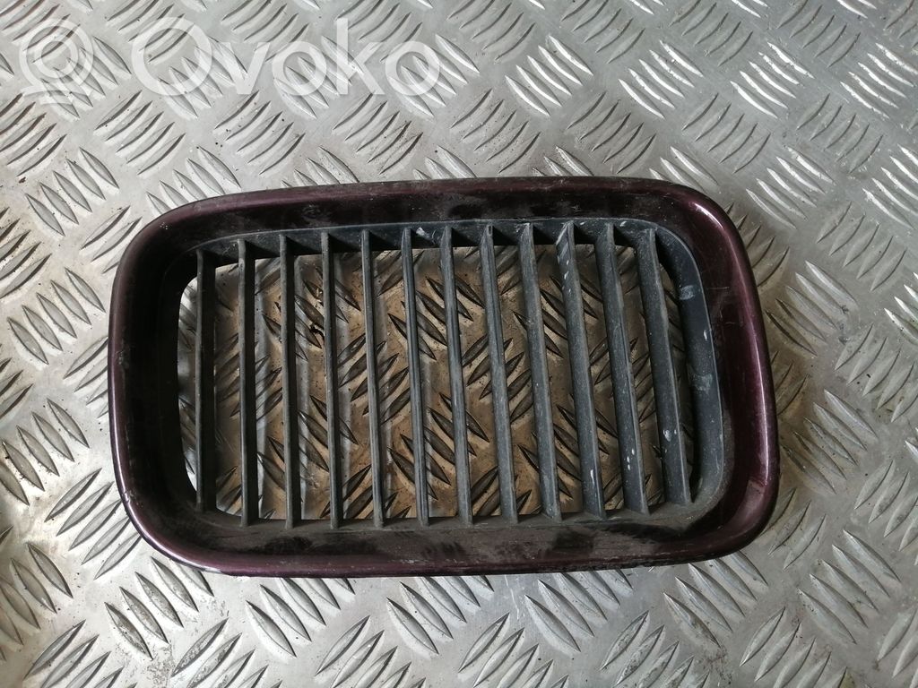 Front grill   8122238