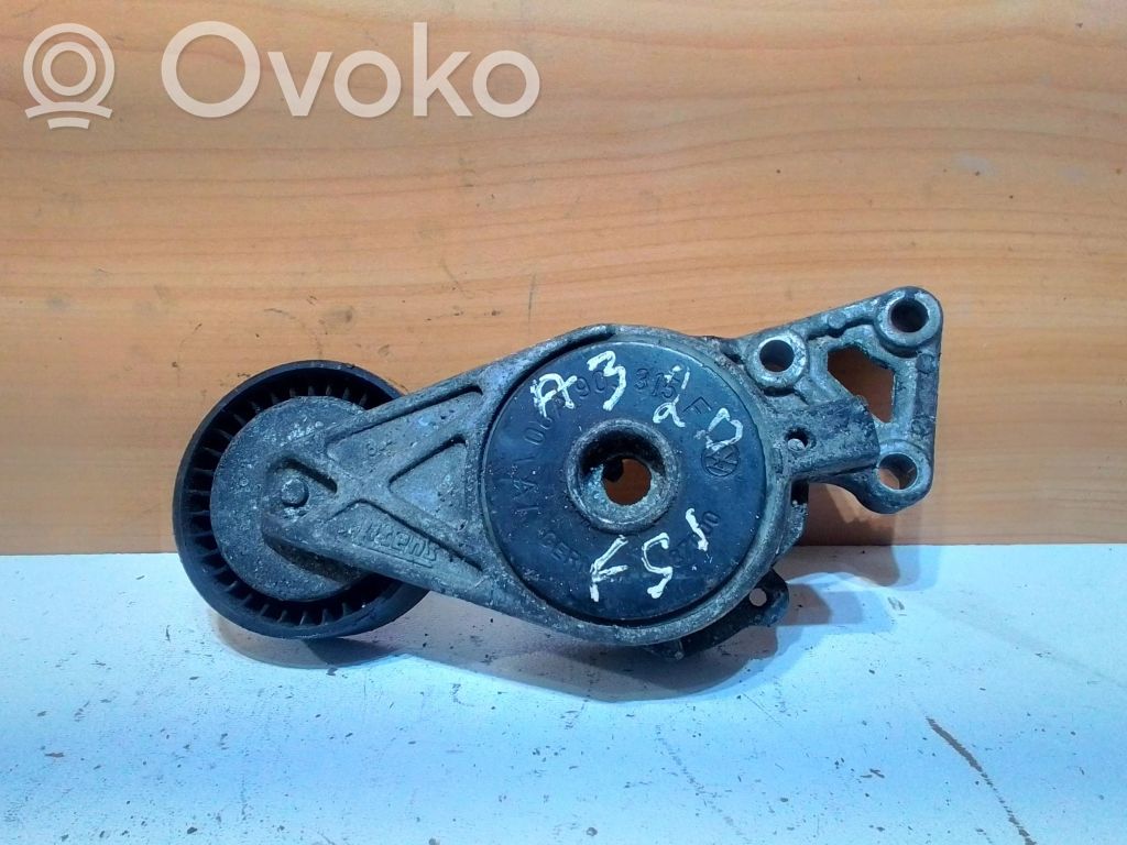 Audi A3 S3 8P Diržo įtempėjas 