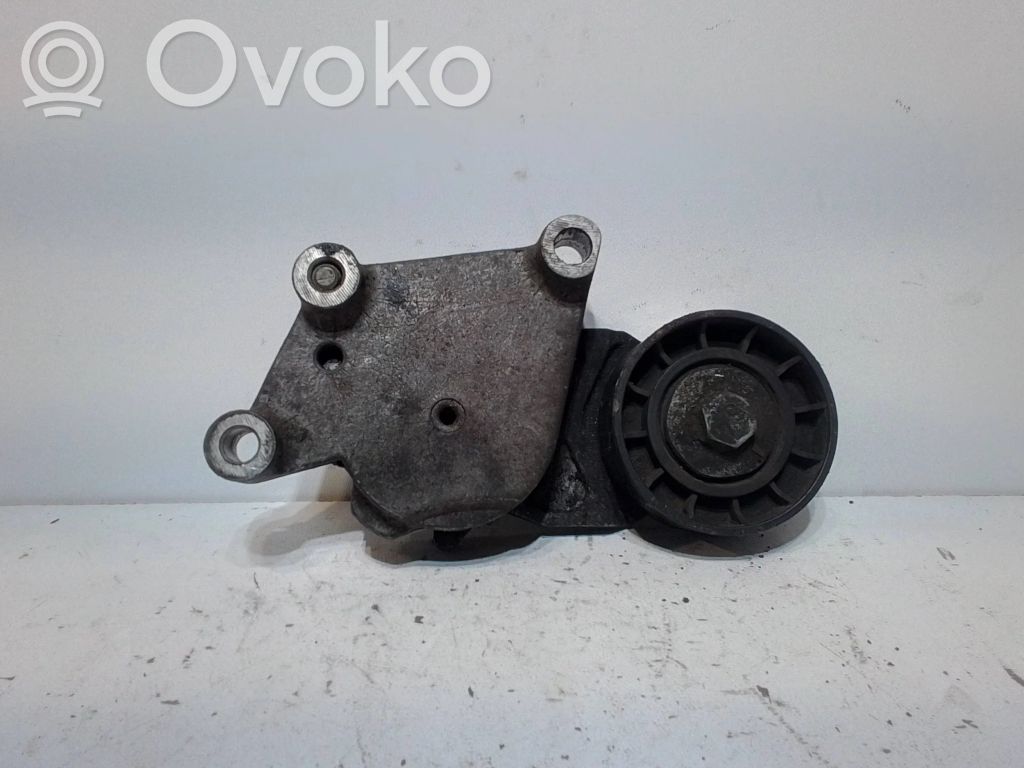 Ford Focus Diržo įtempėjas 