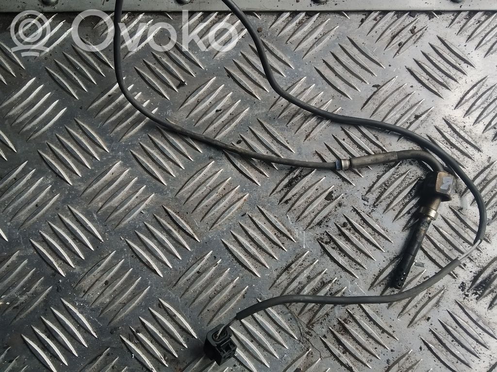 Mercedes-Benz B W245 Išmetamųjų dujų temperatūros daviklis 