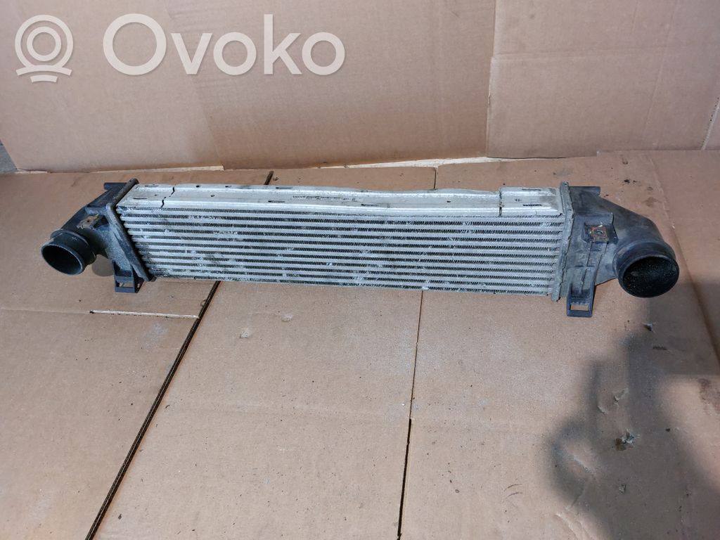 Intercooler radiator   31280013