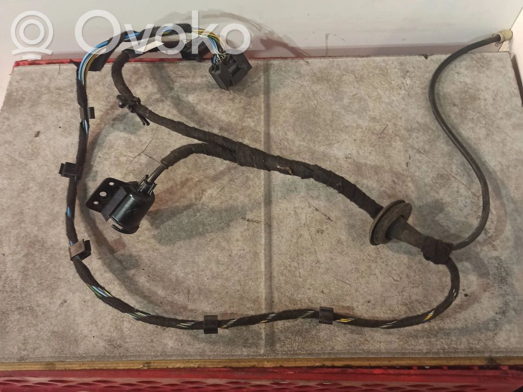 Cableado de puerta trasera   6913152,13318810,10641115