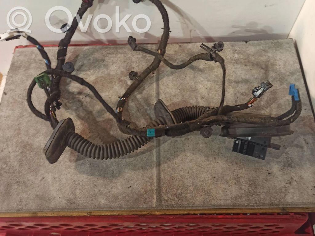 BMW 7 E65 E66 Cableado de puerta delantera 