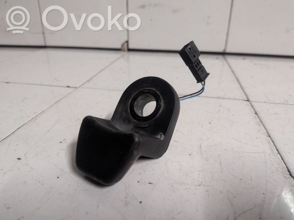 Tailgate glass/window release handle   9200673,59845510
