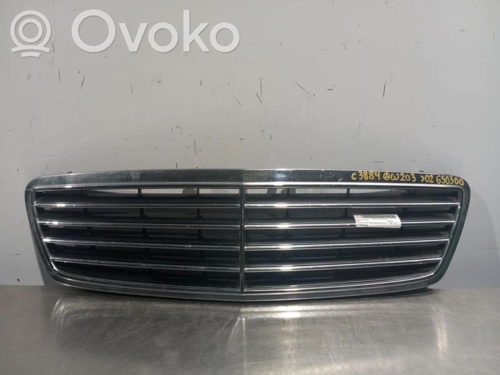 Atrapa chłodnicy / Grill   A2038800188