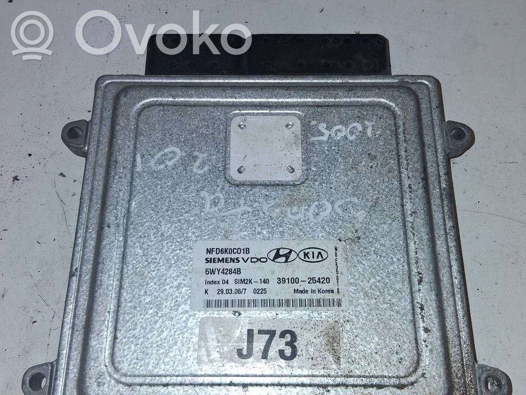 Engine control unit/module   NFD6K0C01B,3910025420,5WY4284B