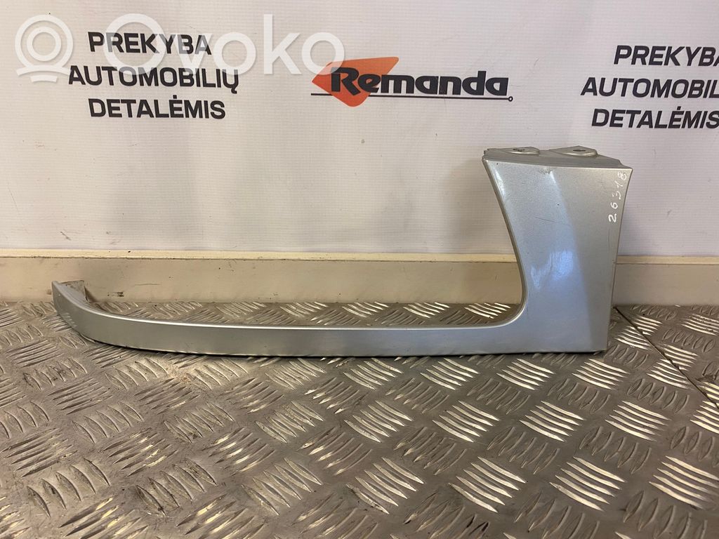 Under headlight/headlamp trim