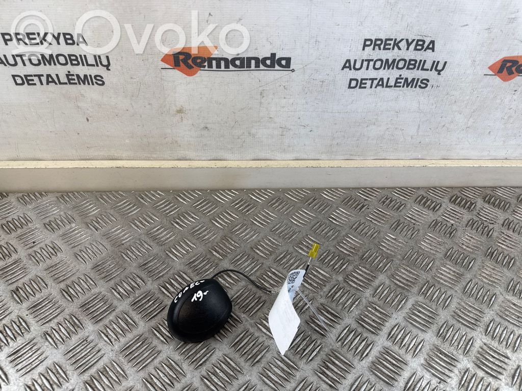 Antena aérea GPS   61120,JT1T19C175BA,053933N0729