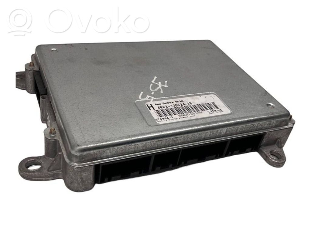 Engine control unit/module   4R8313B524AB