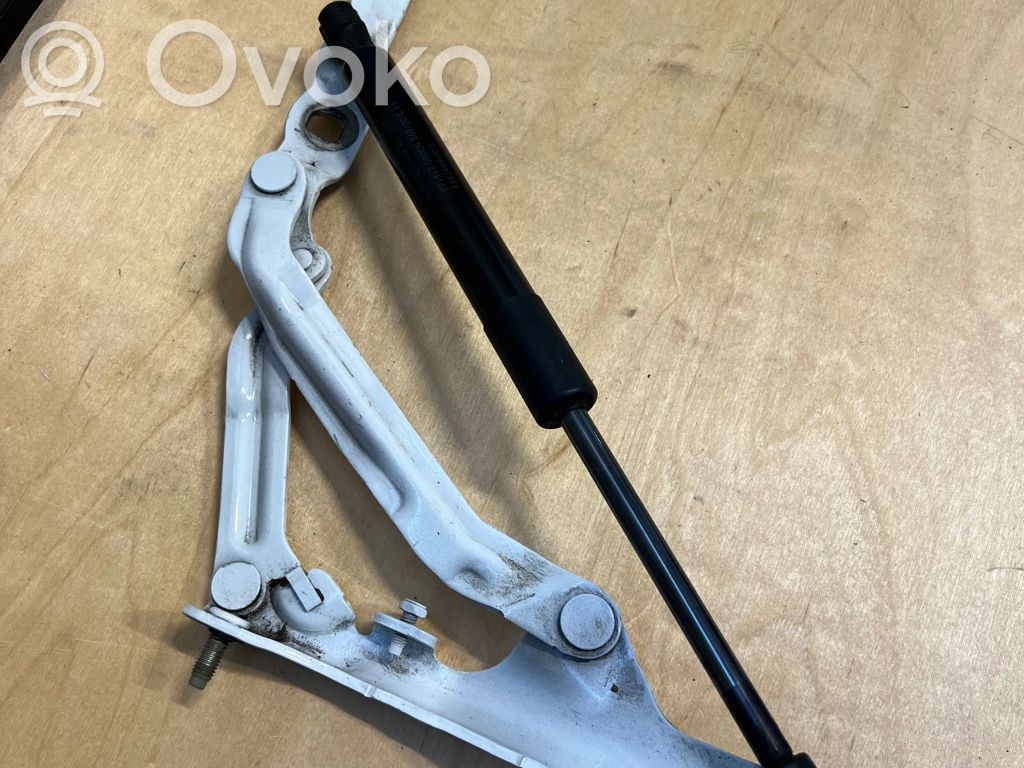 Tesla Model 3 Aizmugurējā pārsega eņģe (-ess) 