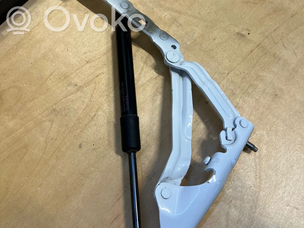 Tesla Model 3 Tailgate/trunk/boot hinge 