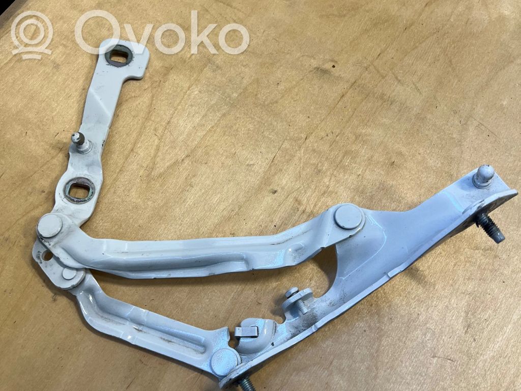 Tesla Model 3 Tailgate/trunk/boot hinge 