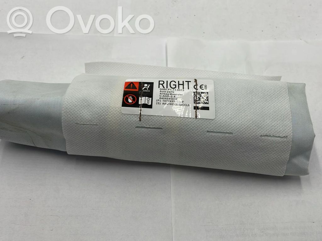 Tesla Model 3 Sitz-Airbag 