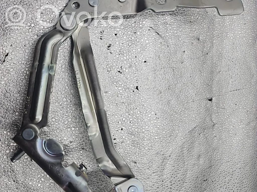 Tailgate/trunk/boot hinge   166739900C,166739900C,1667399,1551482,155148200F