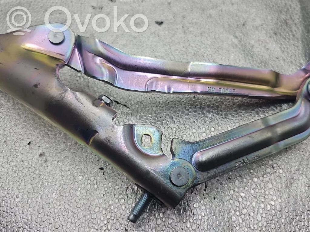 Tesla Model 3 Tailgate/trunk/boot hinge 