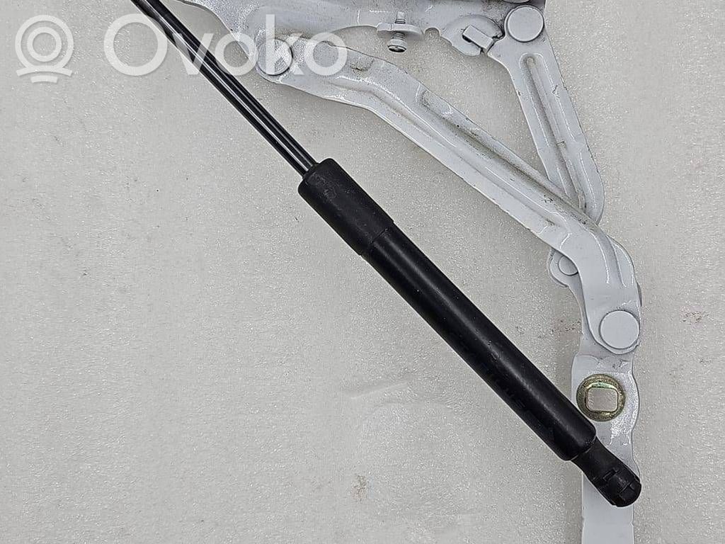 Tesla Model 3 Tailgate/trunk/boot hinge 