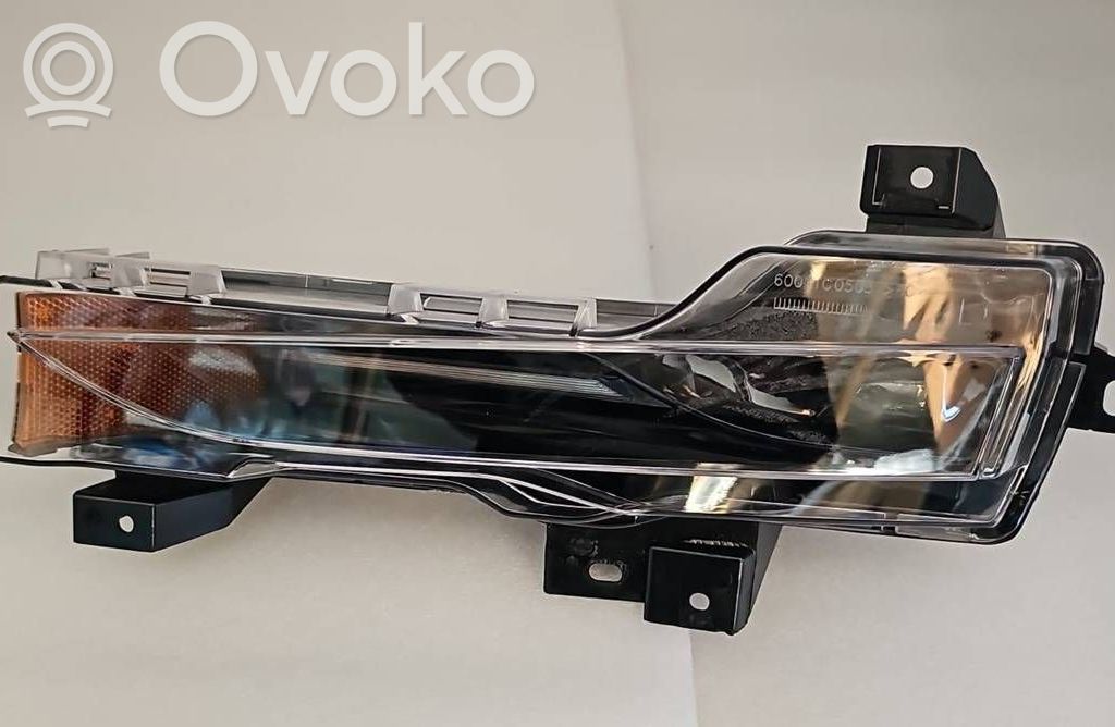 Tesla Model 3 Front fog light 