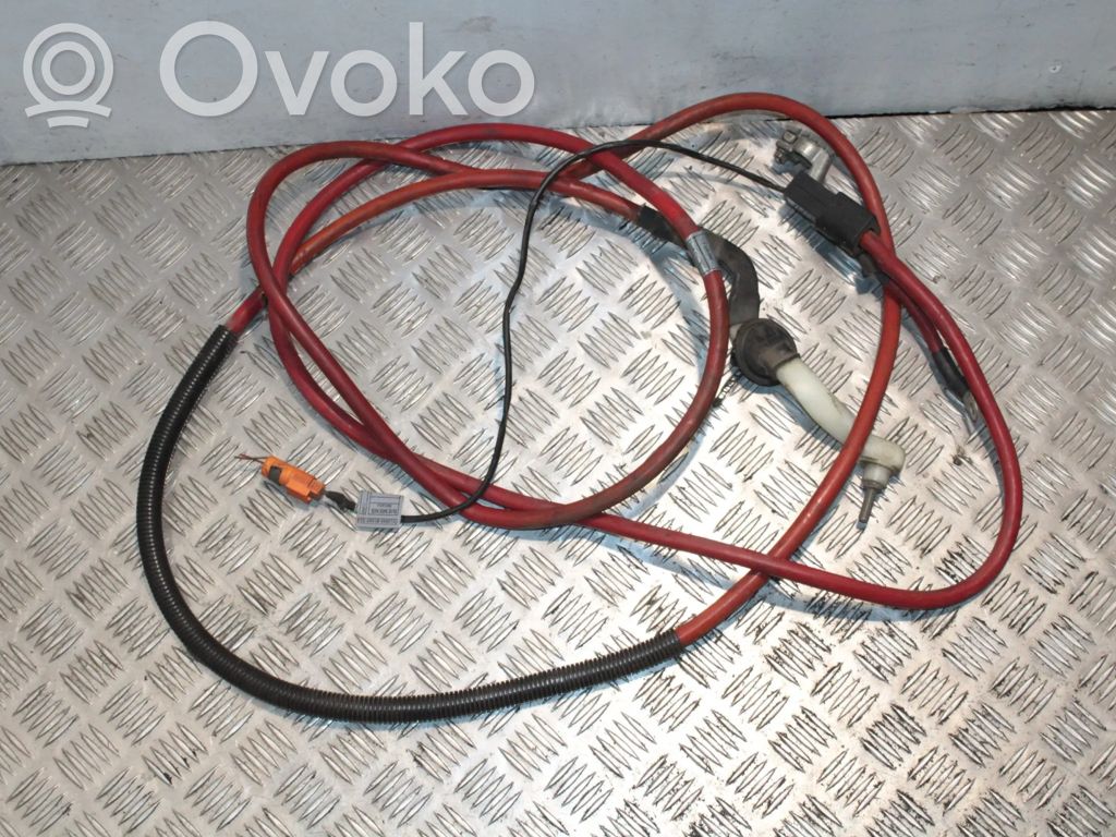 Pluskaapeli (akku)   1436888,1436888