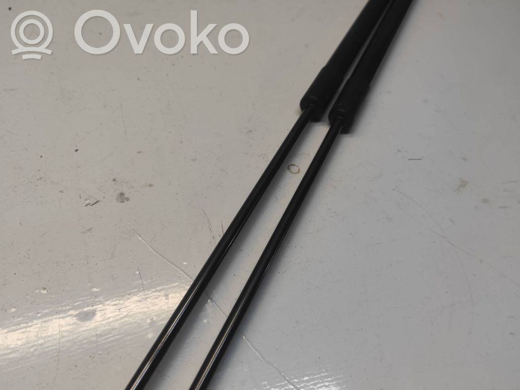 Tailgate/trunk strut/damper   6895002191,6896002201