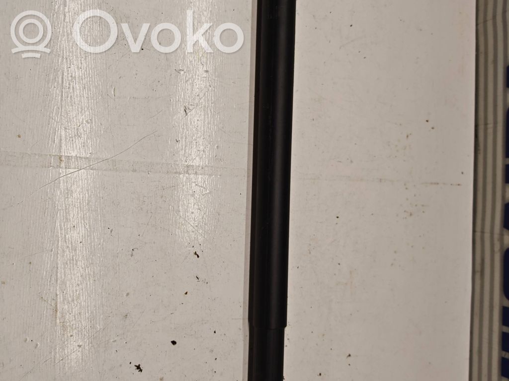 Hyundai Tucson IV NX4 Tailgate/trunk strut/damper 