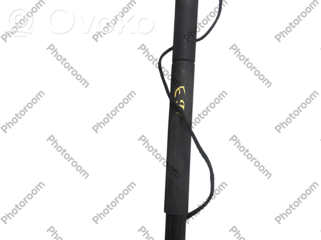 BMW X6 E71 Tailgate/trunk strut/damper 