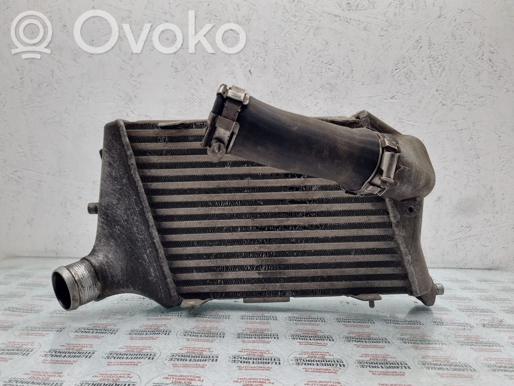 Audi A8 S8 D3 4E Interkūlerio radiatorius 