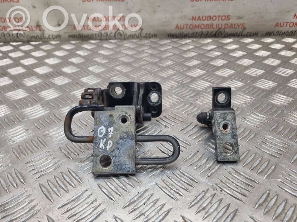 Audi Q7 4L Set balamale ușă față 