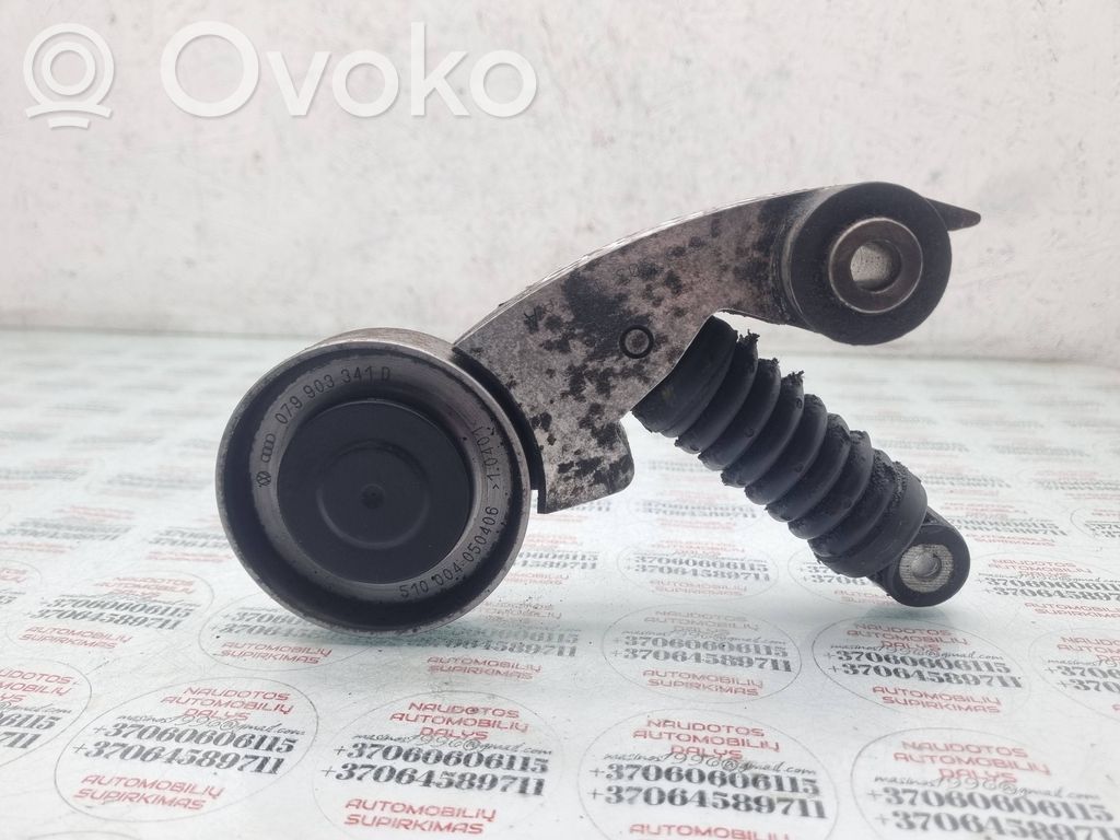 Audi Q7 4L Întinzător curea alternator 