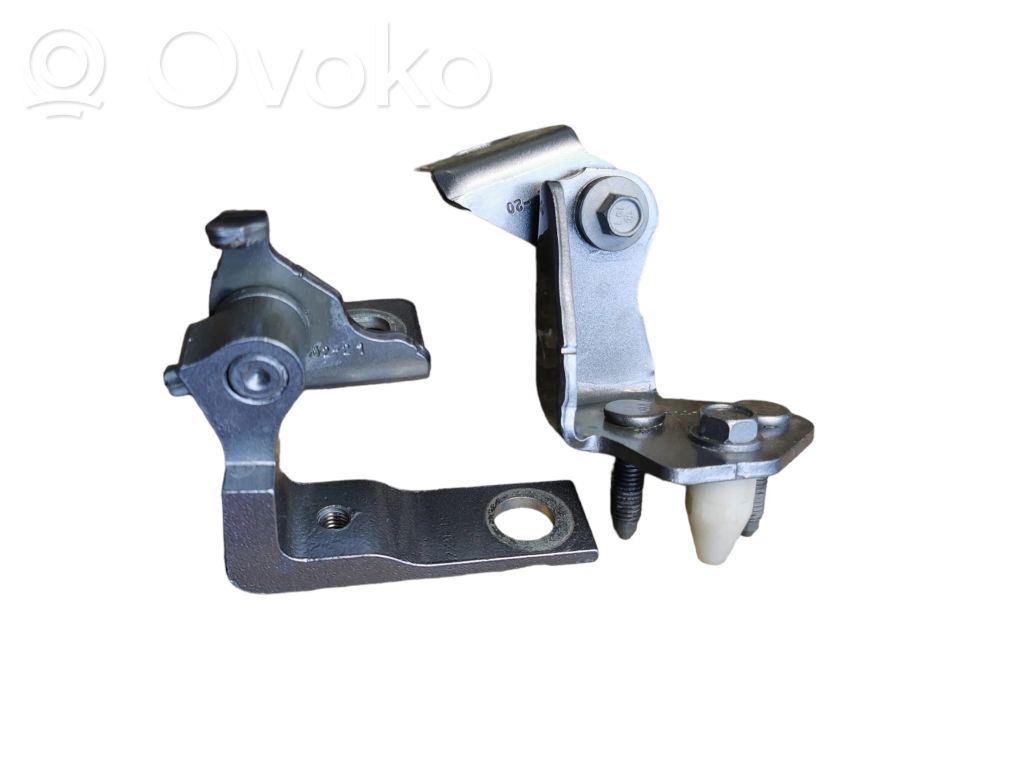 Ford Mustang Mach-E Rear door hinge set 