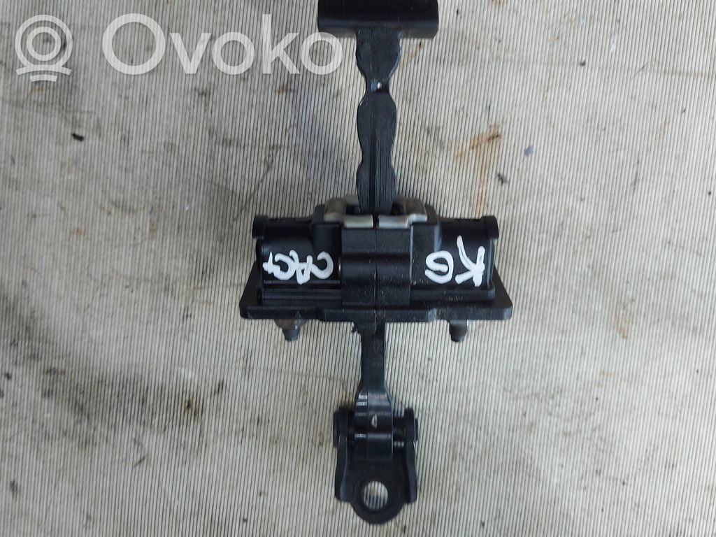 Citroen C4 Cactus Rear door check strap stopper 
