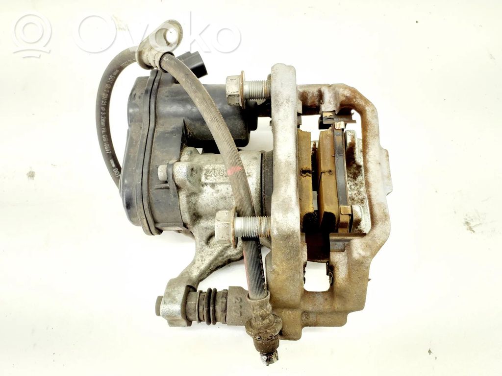 Takajarrusatula   46310F4011