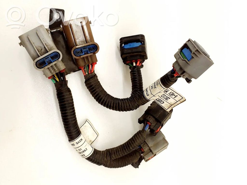 KIA Niro Otros cableados 