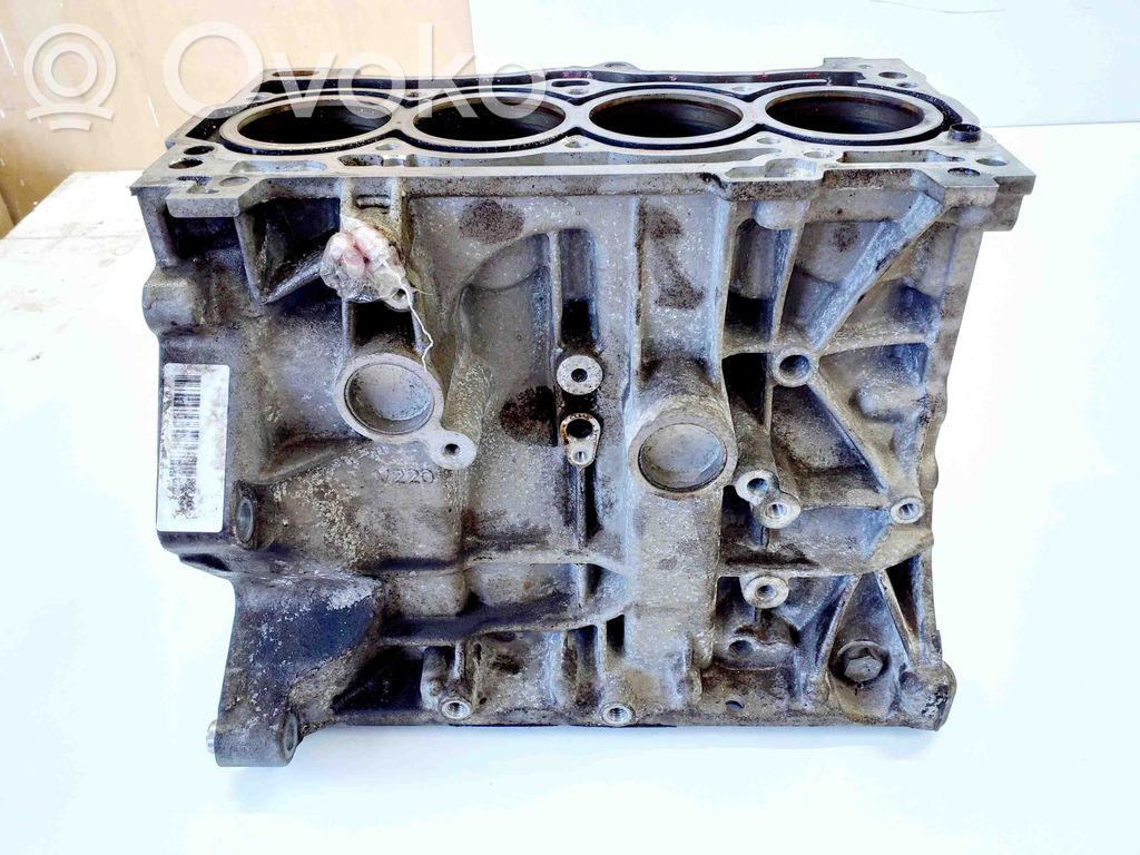 Skoda Fabia Mk3 (NJ) Blok silnika 