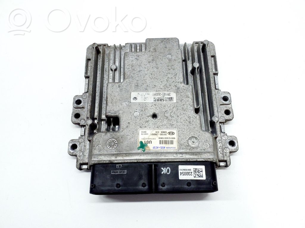 Engine control unit/module   391002U201